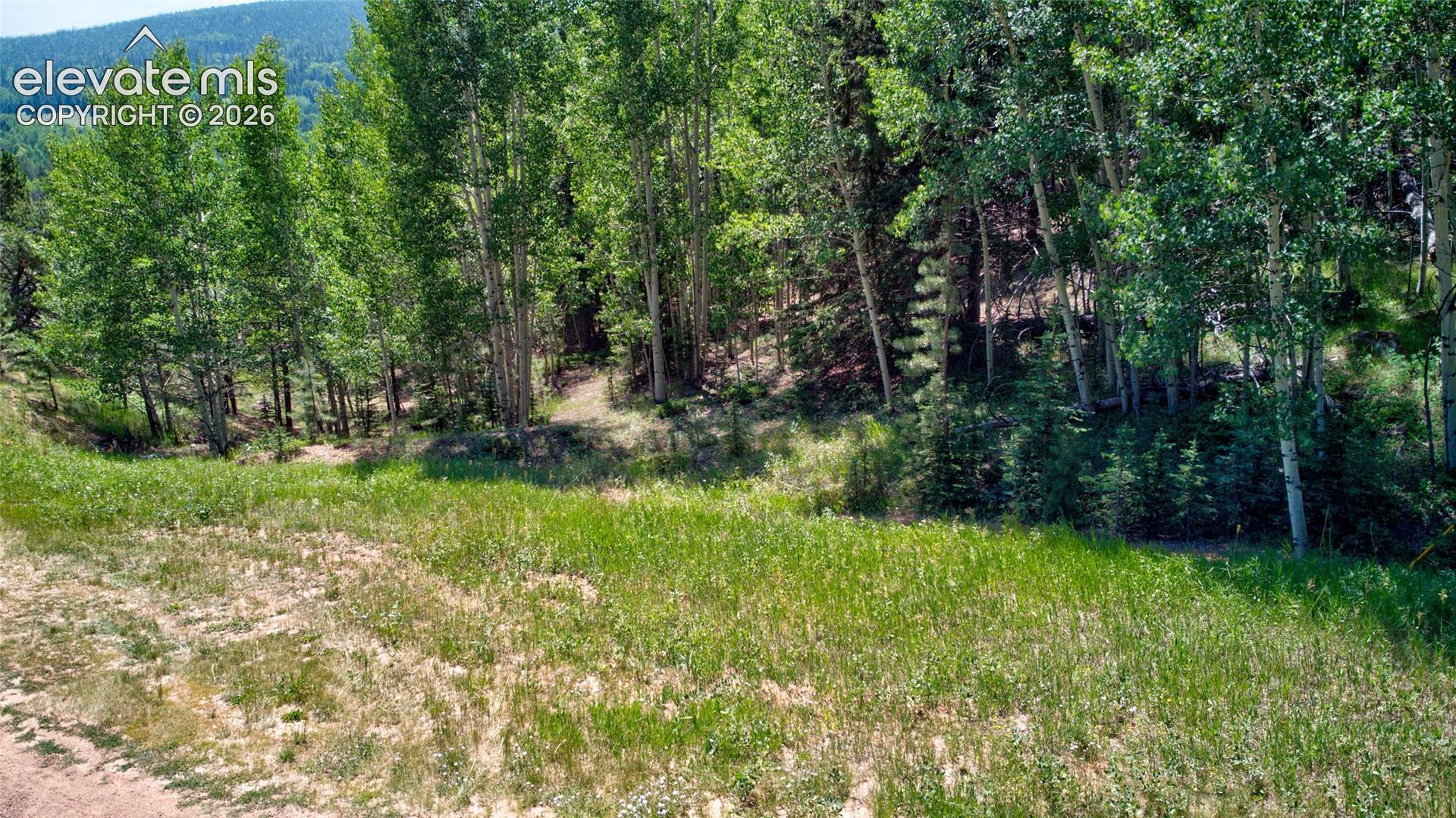 Photo 13 of 158 Rattler Court, Cripple Creek