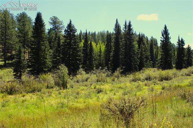View of wooded area