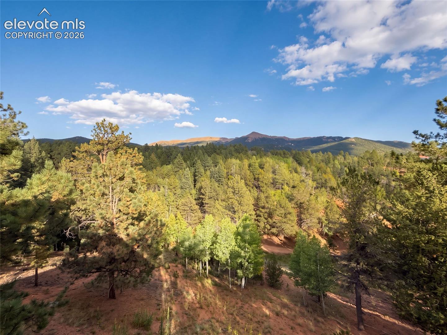 Photo 20 of 1920 Pikes Peak Drive, Divide