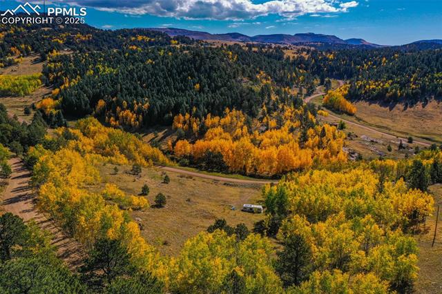 230 Penrose Cir, Cripple Creek, CO 80813