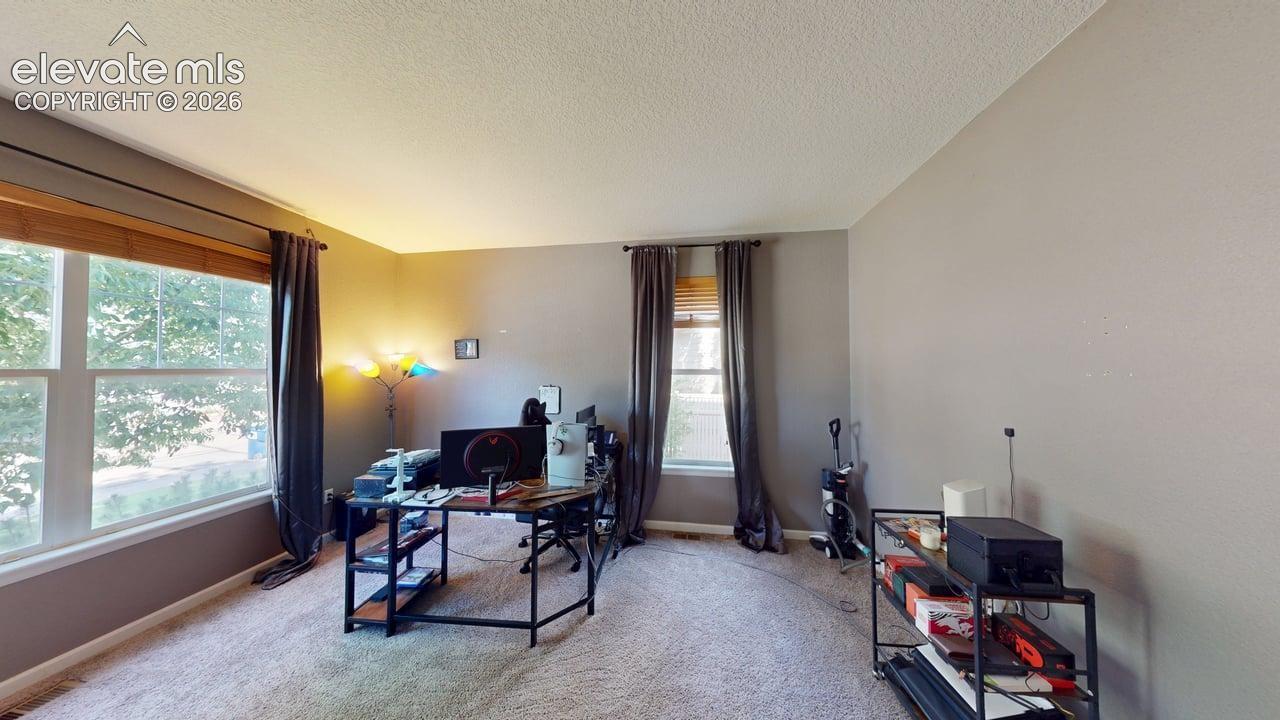Large windows with horizontal blinds, neutral wall paint, and textured carpeting