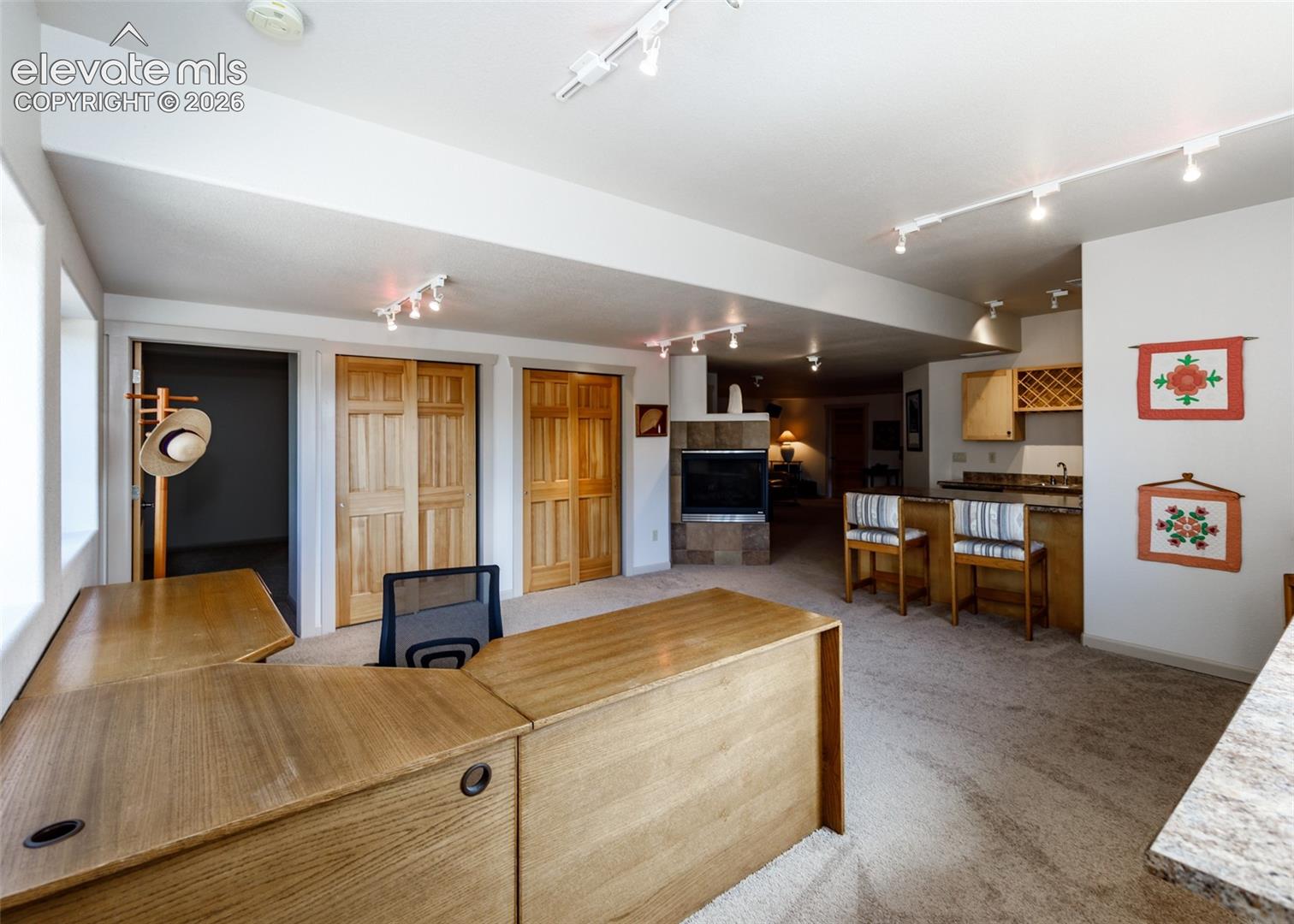 Expansive living area with track lighting, dual wood-finish closets for added storage, and a 3-way gas fireplace.  