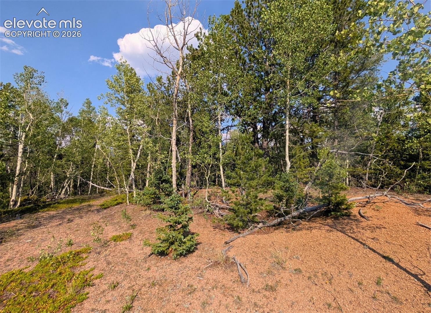 0 Fairview Dr, Cripple Creek, CO 80813