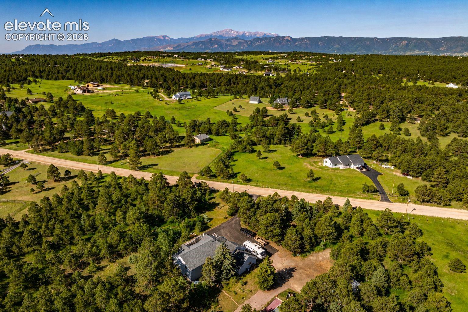 Expansive landscape featuring mature evergreen trees and green clearings