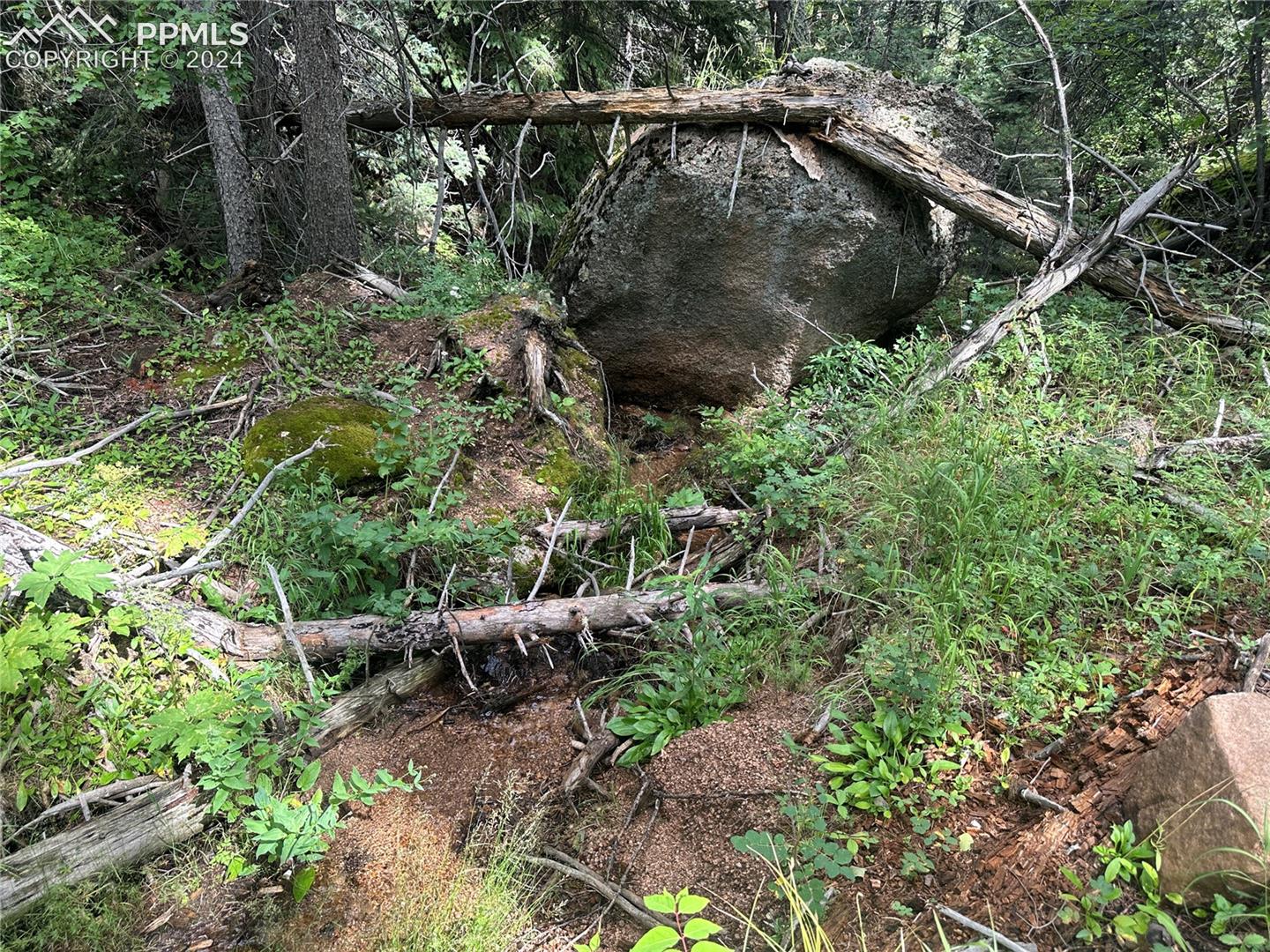 Rock outcroppings and stream near lot