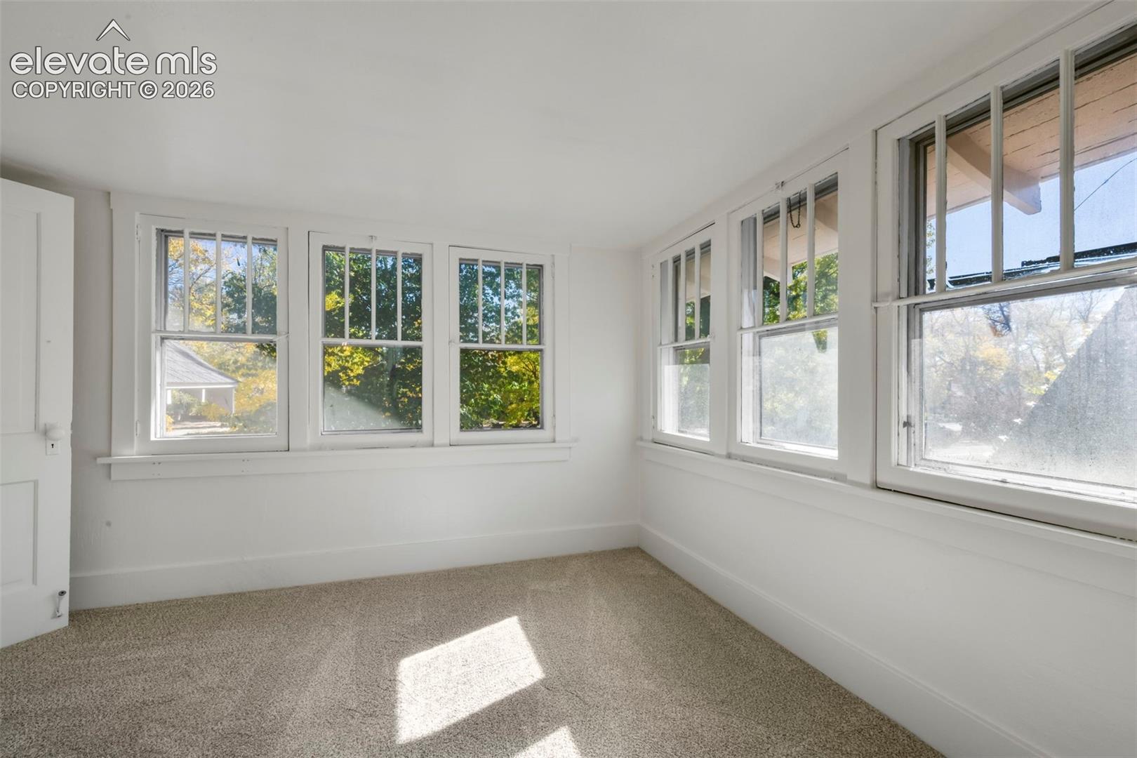 Interior space featuring neutral wall-to-wall carpeting, white walls, and multiple multi-pane windows with white trim