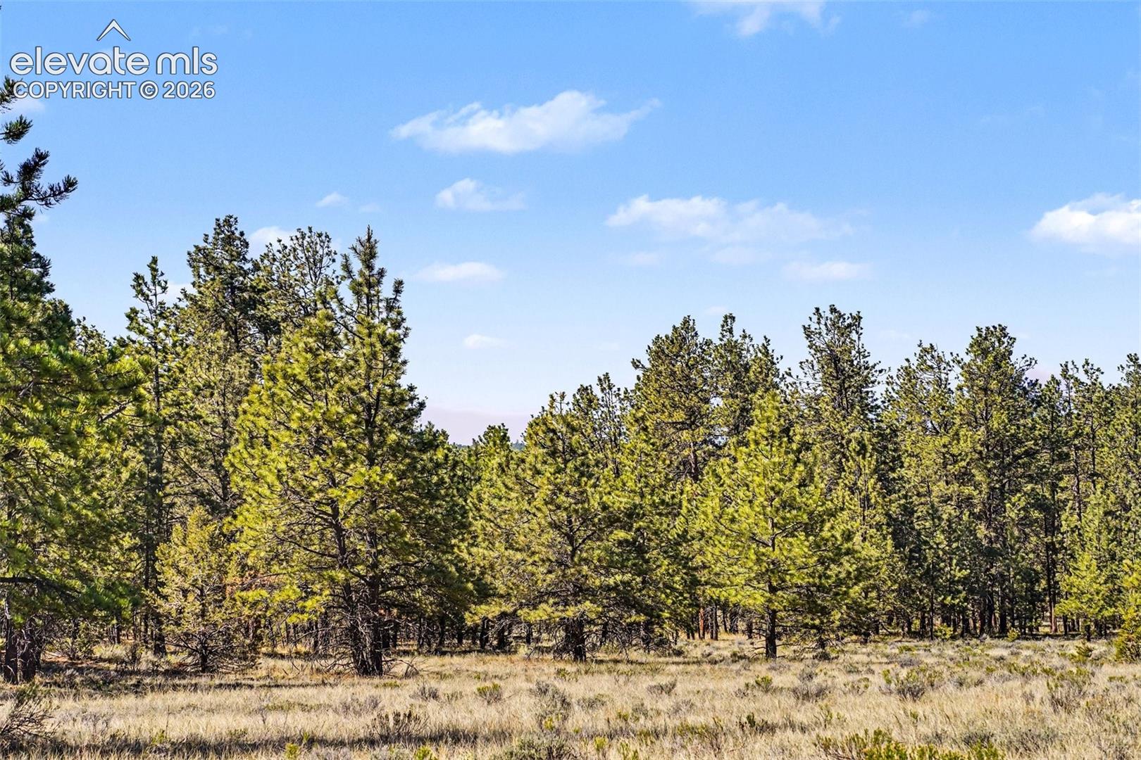 Photo 42 of 610 Matterhorn Circle, Westcliffe