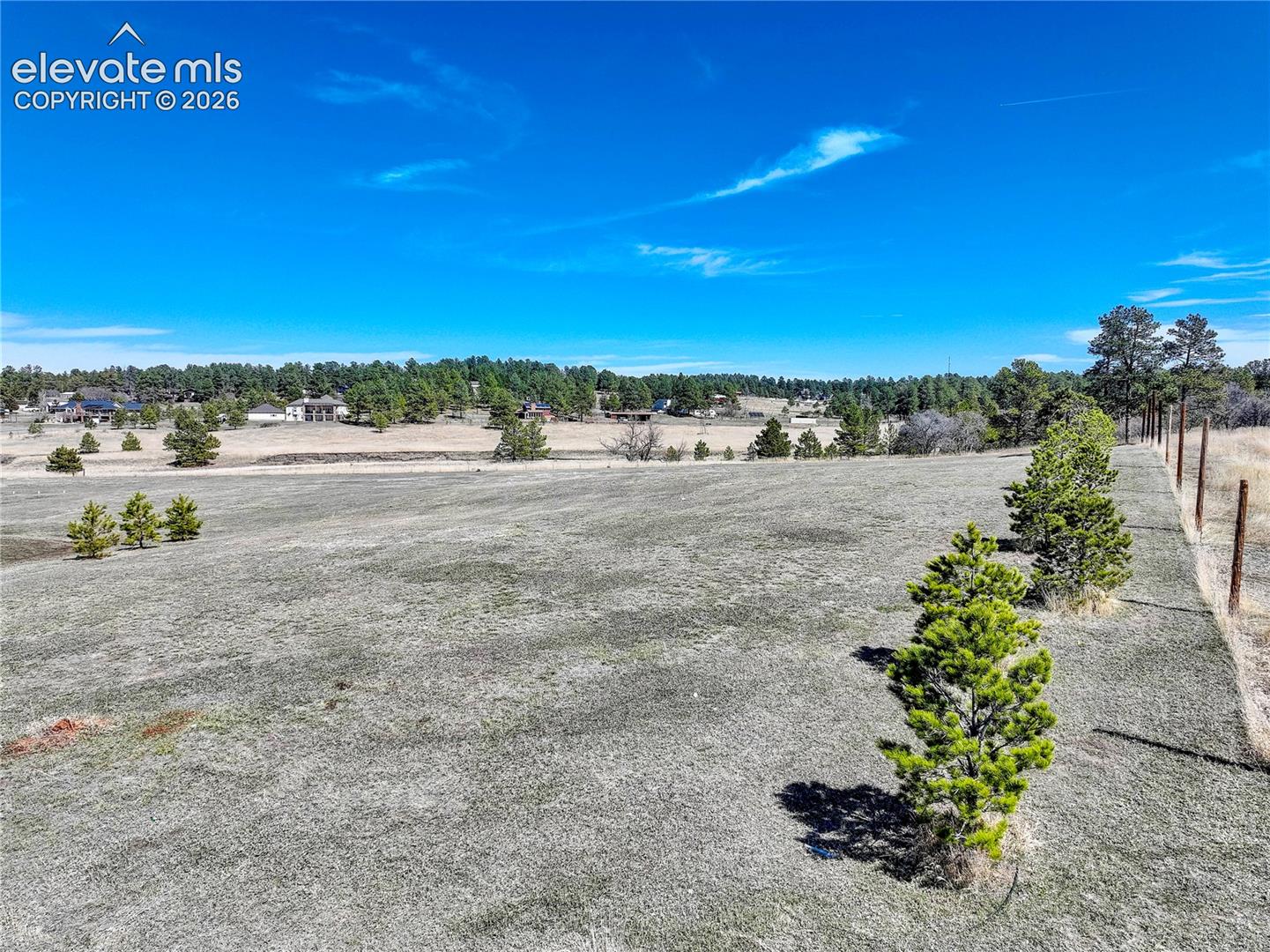 This row of trees is the boundary between you and the historic 1912 homestead.
