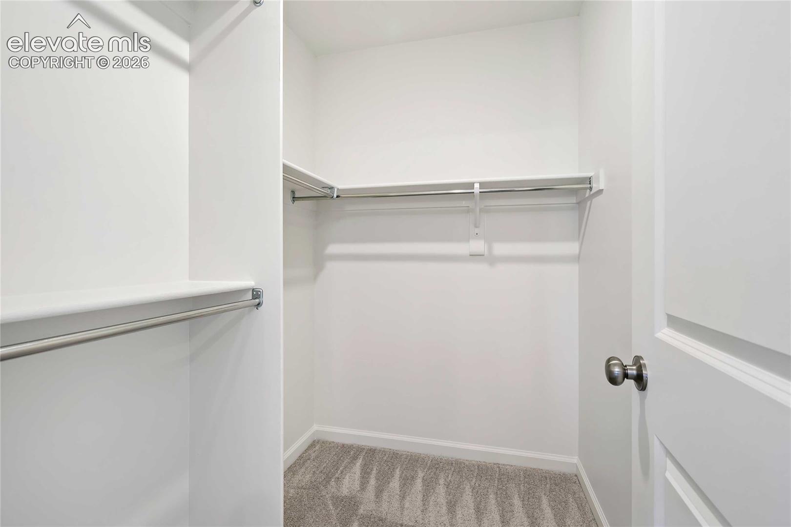 Walk-in closet with carpet flooring, white walls, and built-in shelving
*photos of a model home*
