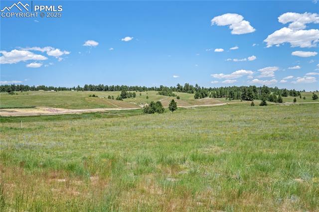 Photo 13 of 10906 Alamar Way, Colorado Springs