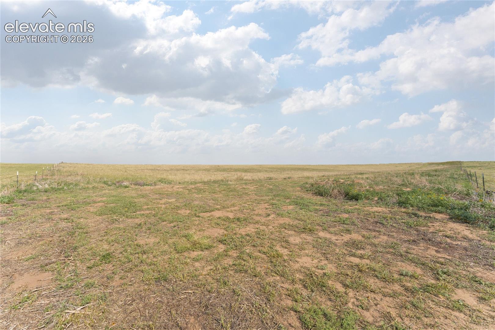 Expansive open field with natural ground cover