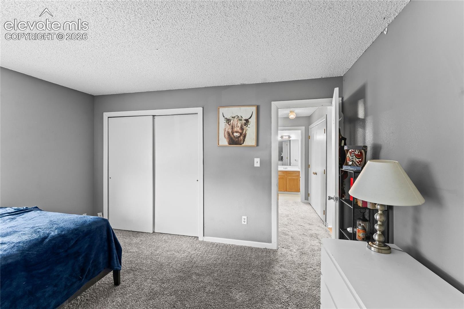 Photo 10 of 4323 Hawks Lookout Lane, Colorado Springs