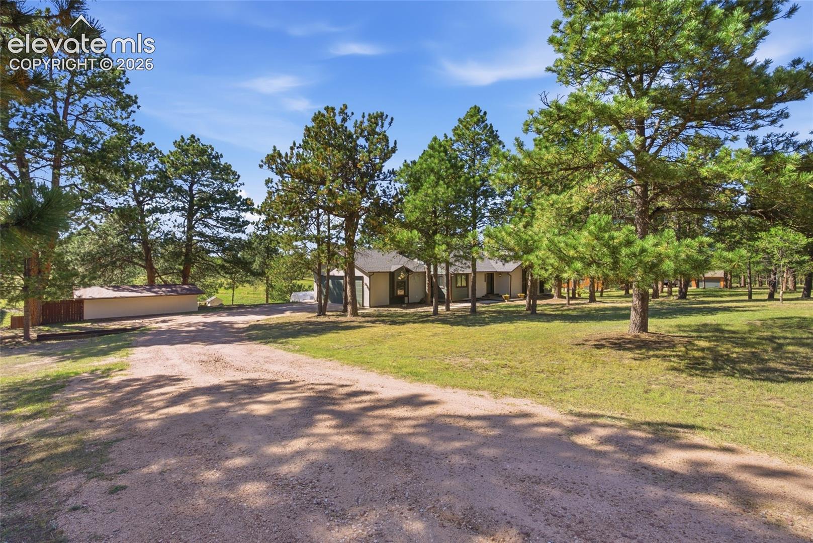 Expansive lot featuring a gravel driveway, mature evergreen trees, a detached outbuilding, and a ranch residence