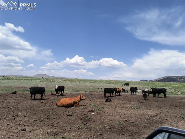 View of home's community with a rural view and heating fuel