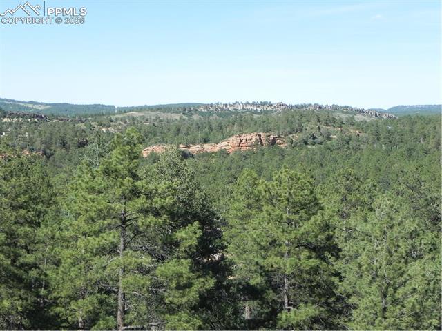 Photo 11 of 8117 Acoma Drive, Larkspur