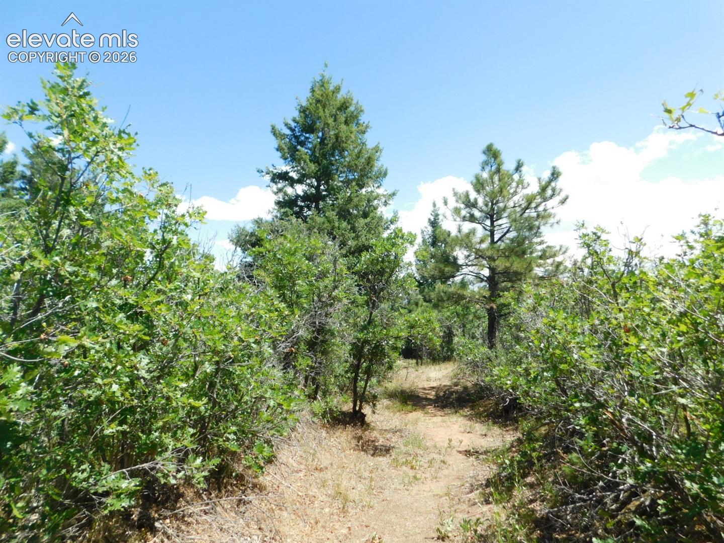Photo 21 of 6447 Thunderbird Road, Larkspur