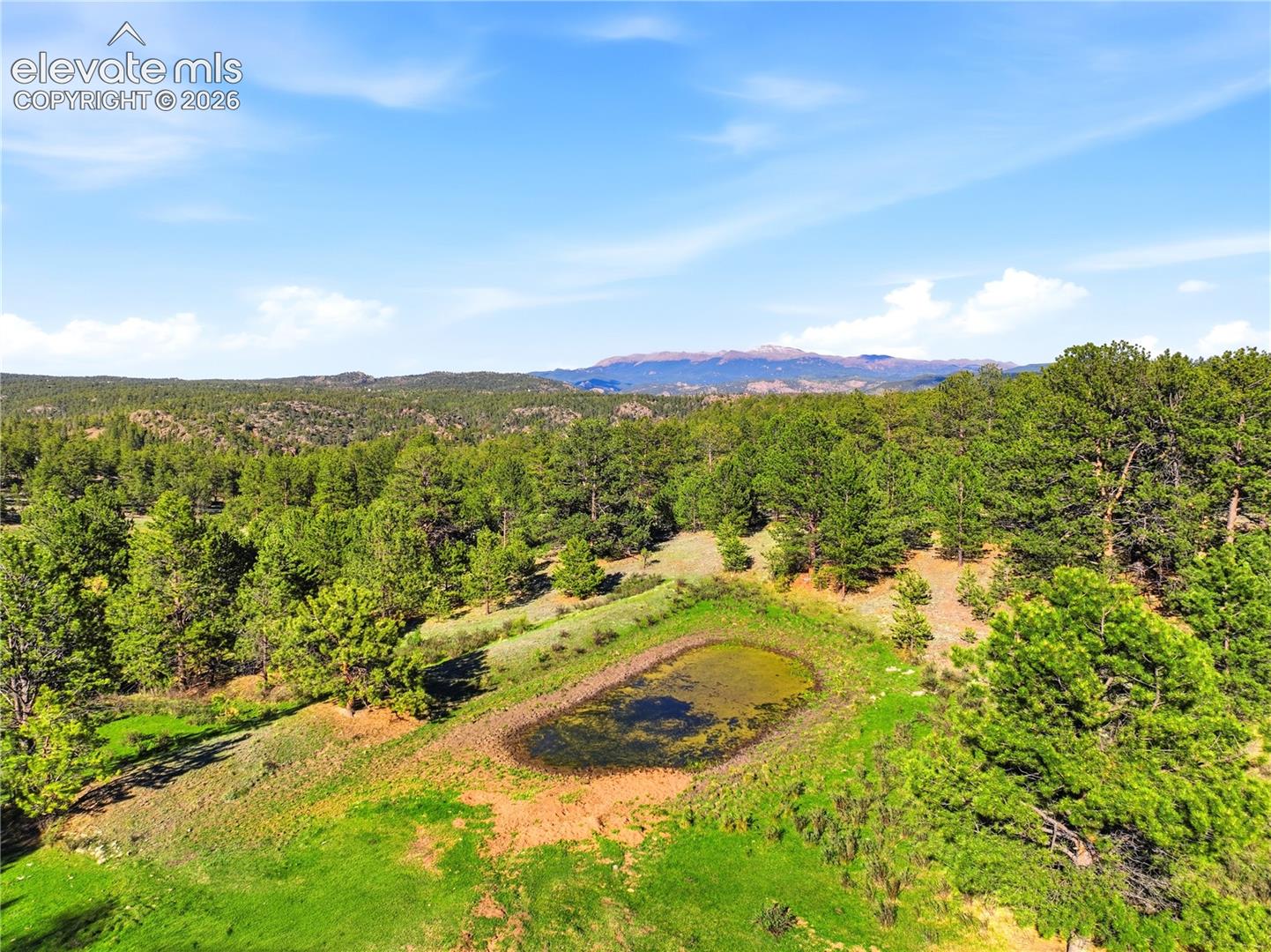 Natural landscape featuring a tranquil pond surrounded by lush greenery and mature trees