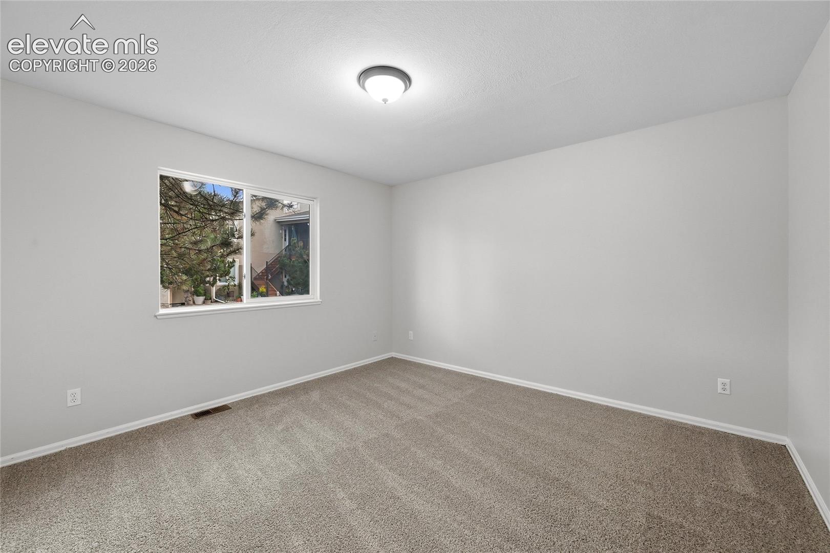 Neutral wall finishes, plush carpeting, large window, and flush-mount ceiling lighting