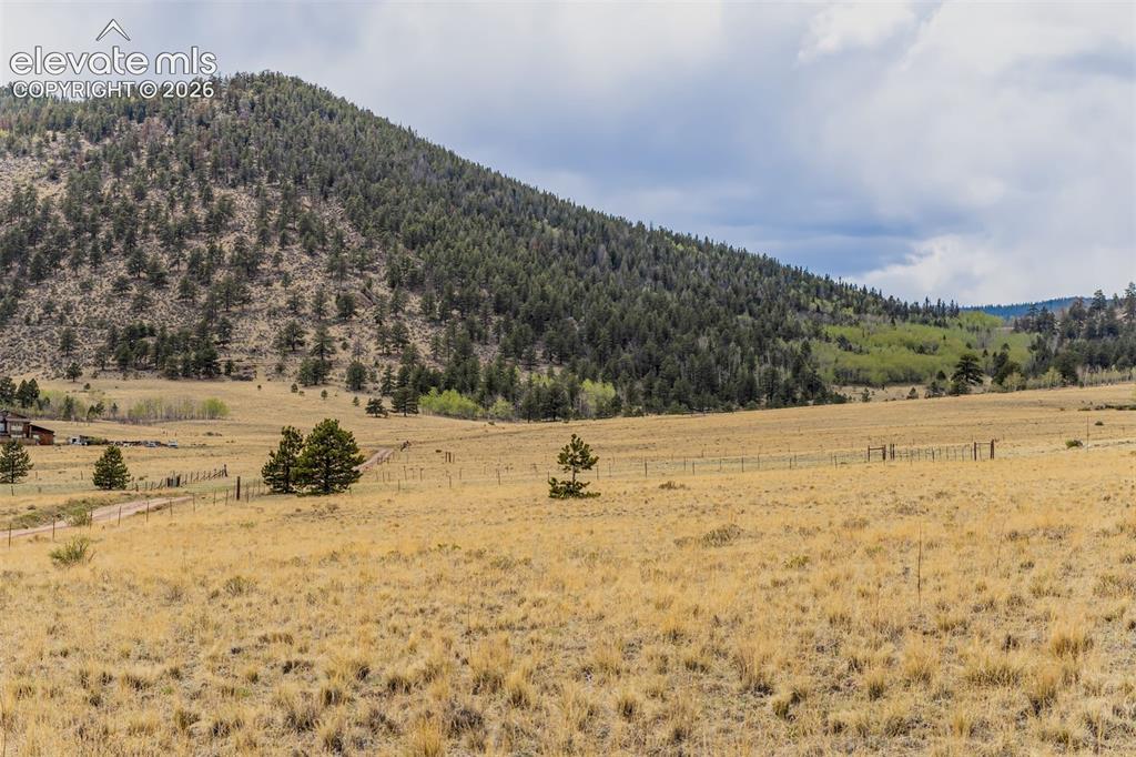 Additional view from meadow area