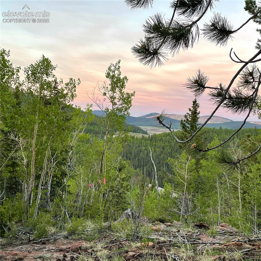 Photo 8 of S Highway 67, Cripple Creek
