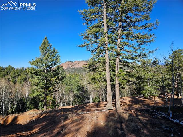 Photo 19 of 652 Derby Drive, Cripple Creek