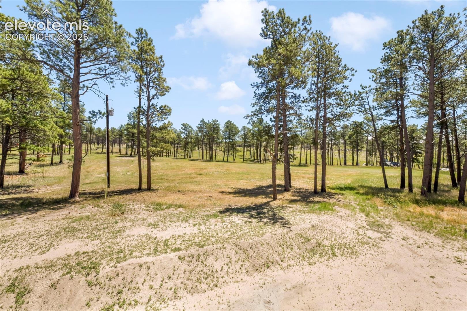 Incredible 5 acre property with trees