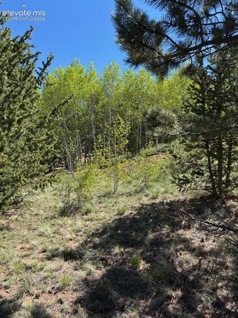 124 Yorktown Rd, Cripple Creek, CO 80813