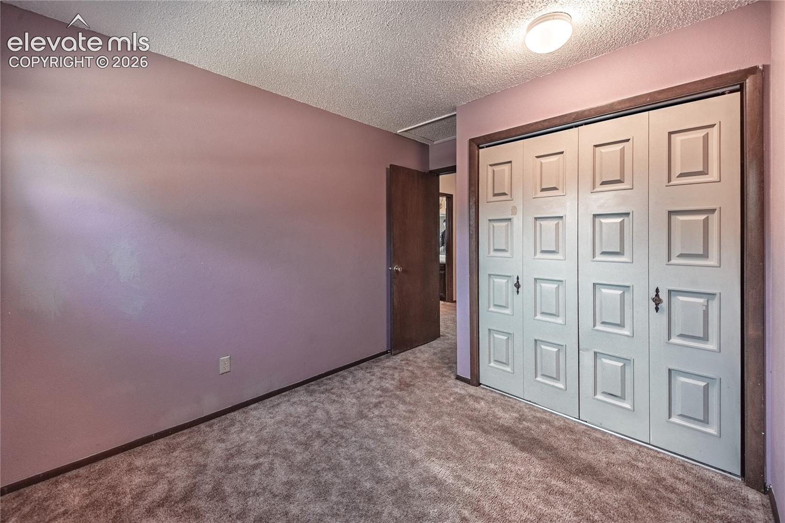 Wall-to-wall carpeting, bi-fold closet doors with raised-panel detailing, and a solid wood interior door with a brushed metal knob