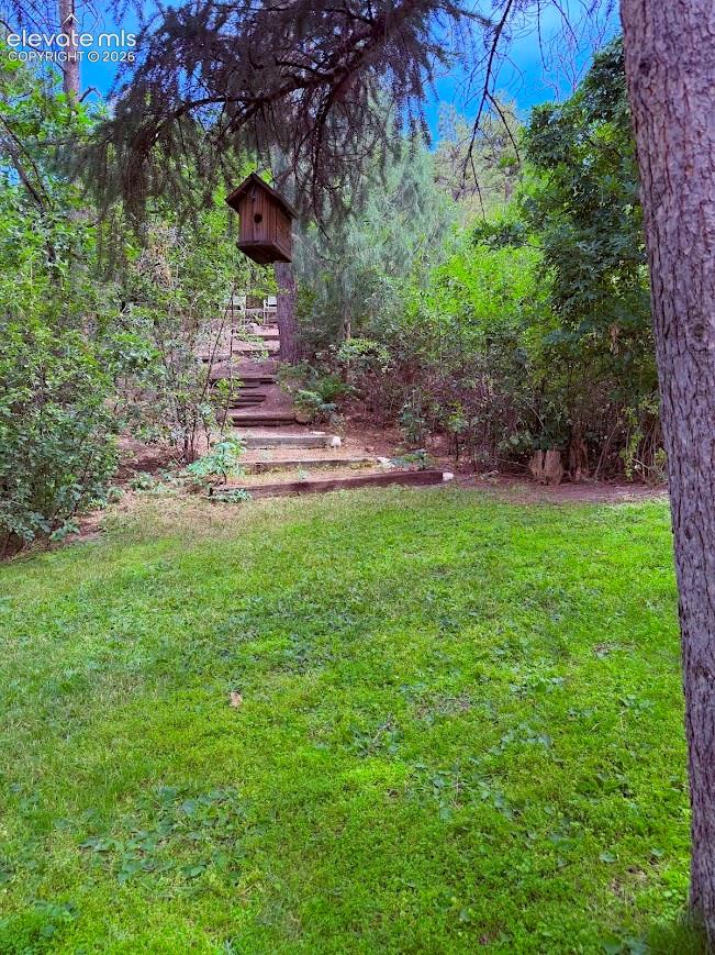 Expansive lawn with mature trees and stepping stone pathway