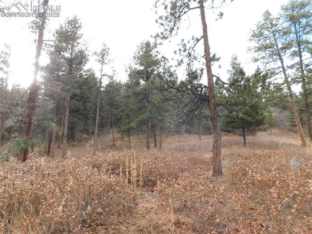 Photo 10 of 8055 Acoma Drive, Larkspur