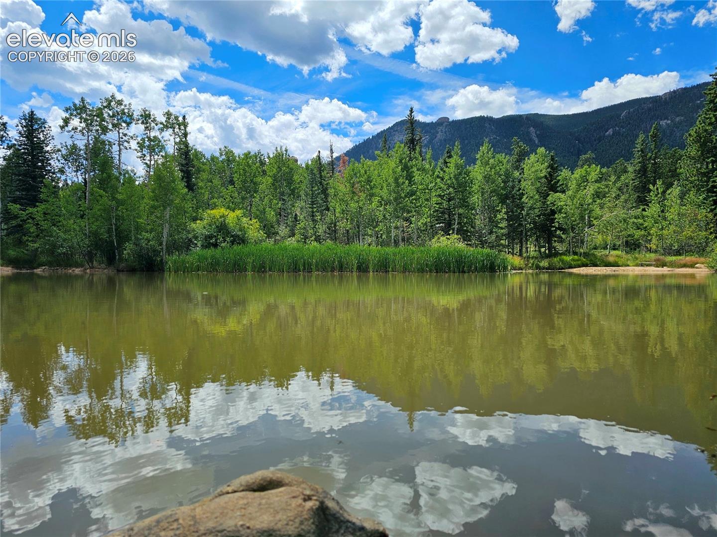 Stocked trout pond
