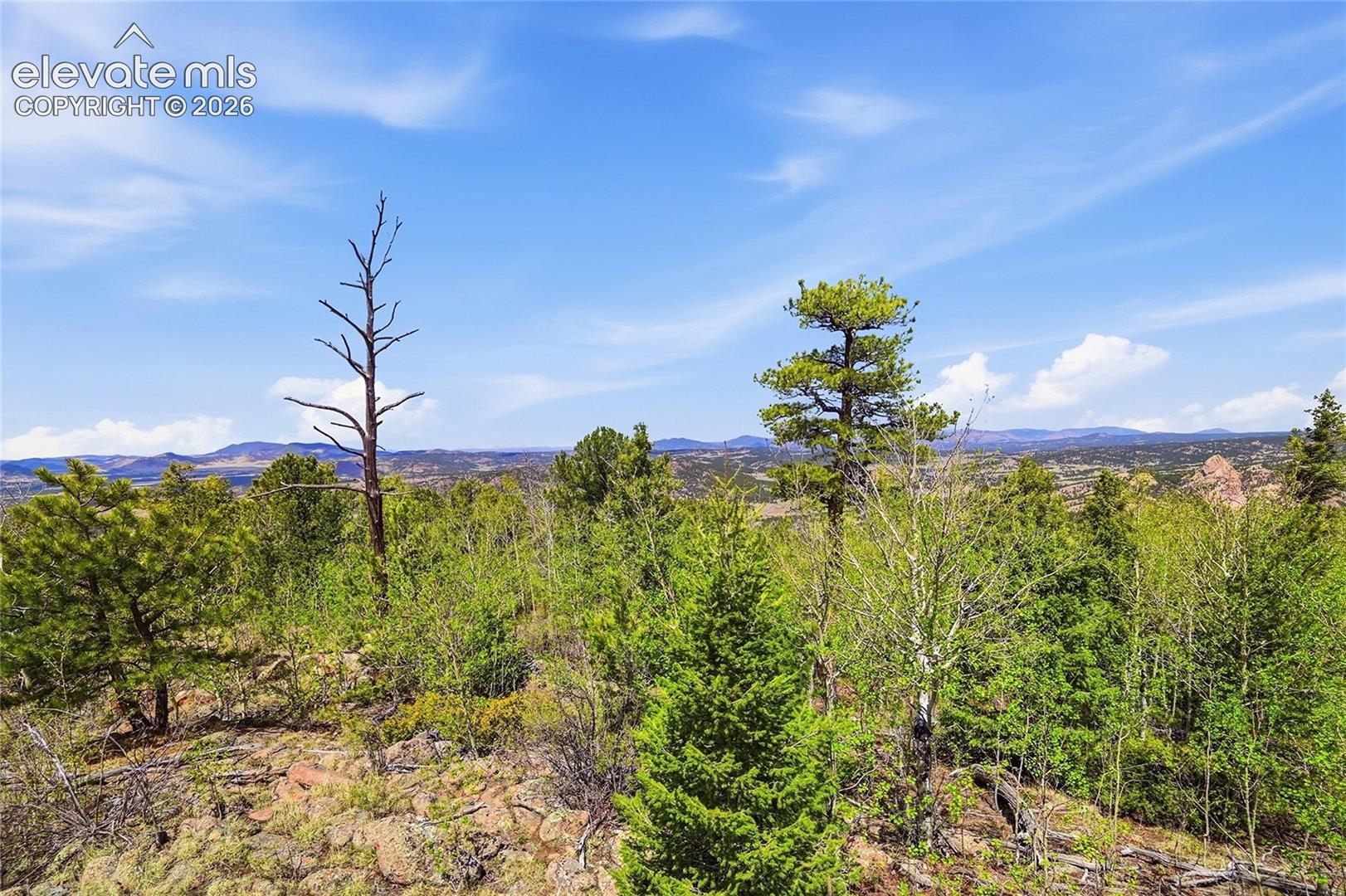 Photo 20 of 7070 County Road 1, Cripple Creek