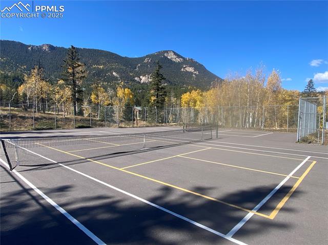 Tennis/Pickle Ball Courts