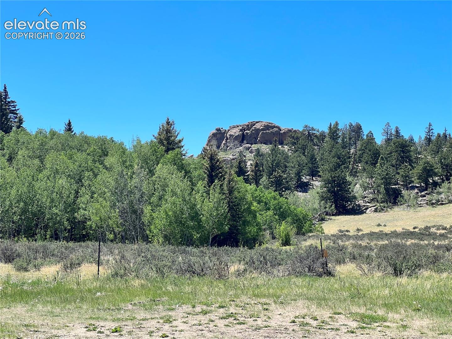 Expansive natural landscape featuring lush greenery, mature trees, and rock formations