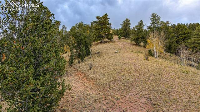 Photo 7 of 65 Portland Drive, Cripple Creek