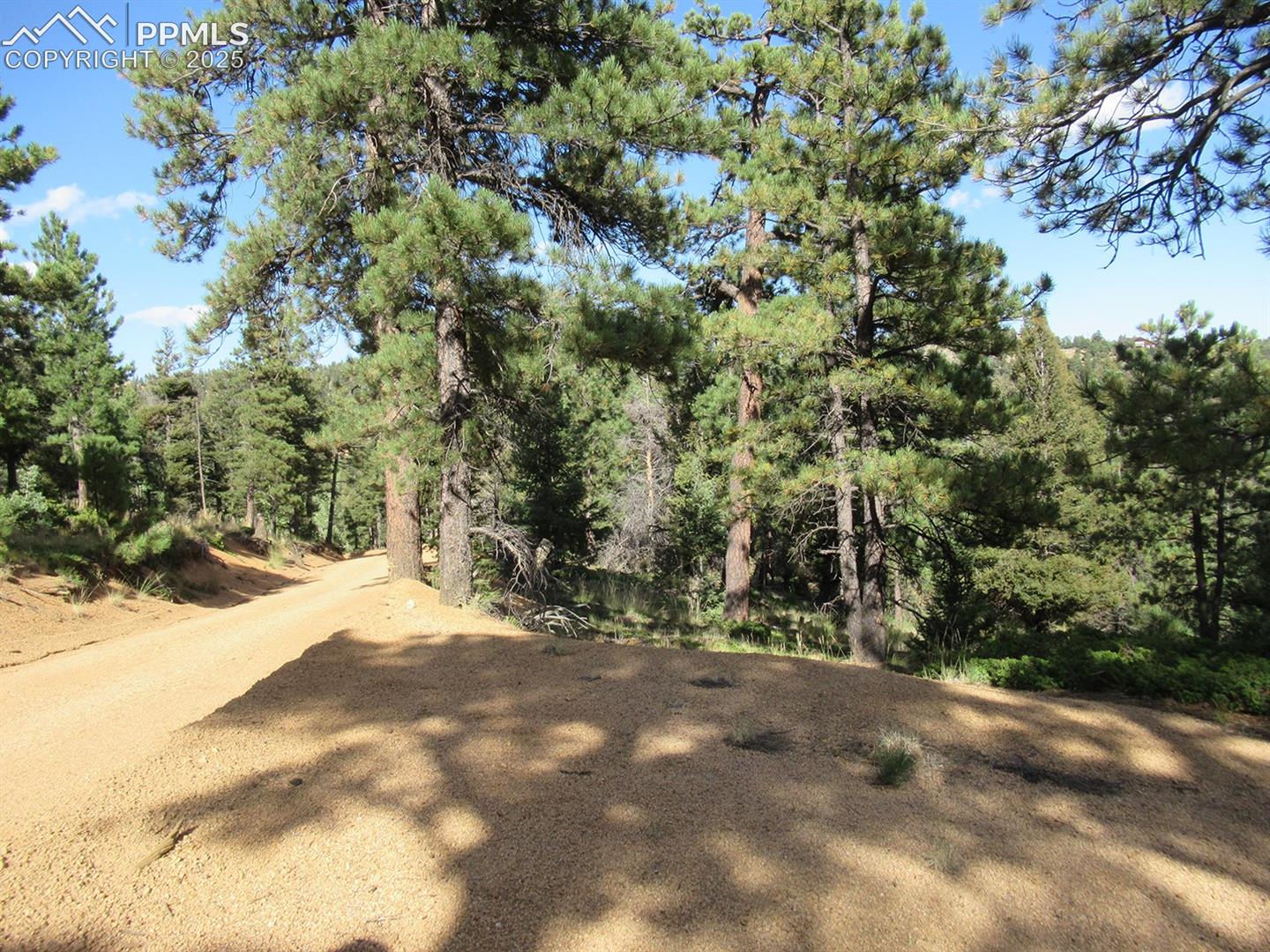 Beautiful, private lot w/ towering pines, mtn & city views, a lot of southern sunshine & flat building site with a gentle slope for possible walkout~Close to stocked fishing lake, clubhouse, pool, playground, tennis & basketball courts ~ hiking trails throughout the whole community~Crystal Park is a safe gated community with over 2000 acres of land & only 350 home sites~All lots in Crystal Park can go up to 0.7 acre with no charge just need survey~Full time private snow removal & volunteer fire dept~Trash & mail are all at the gate~There is a house across the street with utilities~This property requires well & septic.