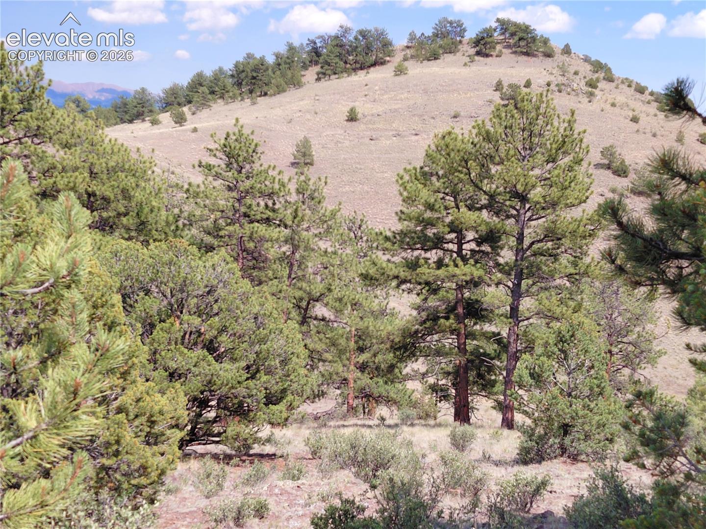 Photo 8 of Tract 70 Owls Nest Road, Guffey