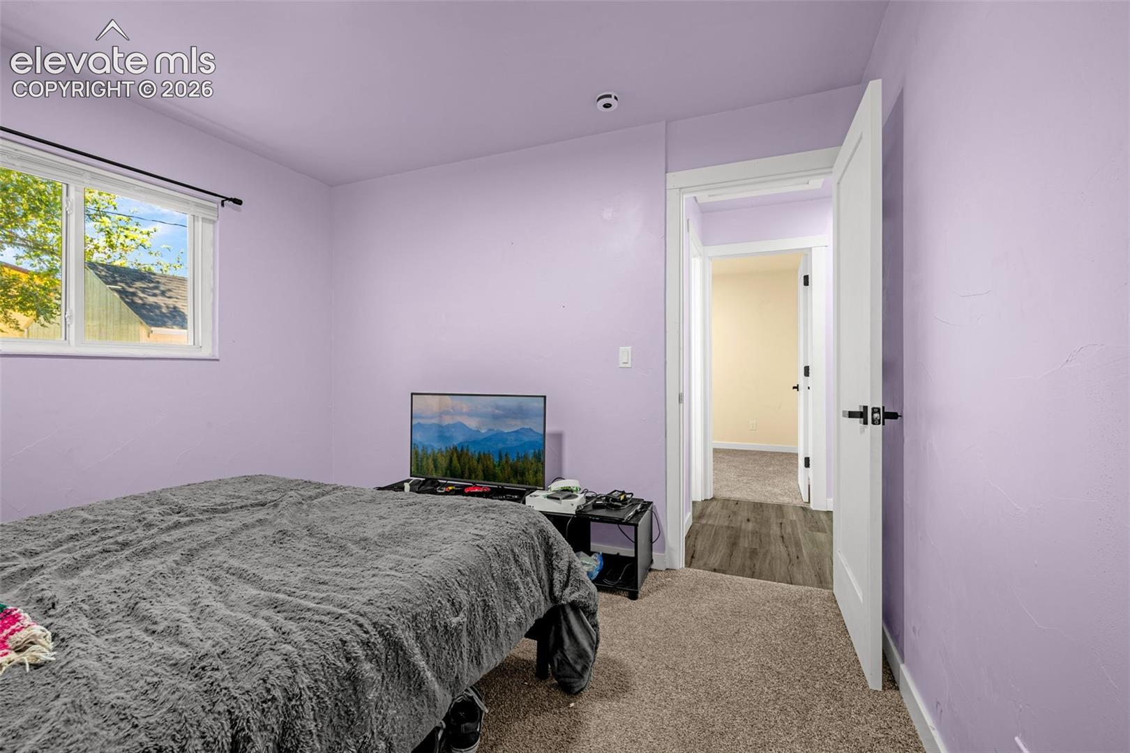 Photo 17 of 1126 Maxwell Street, Colorado Springs