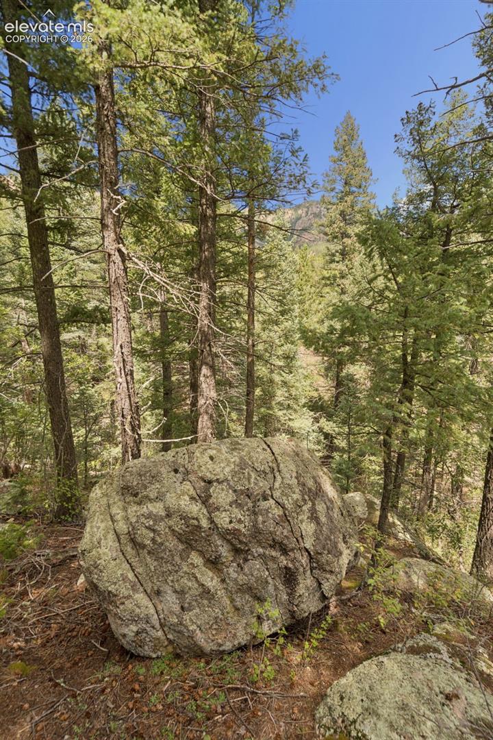 Photo 44 of 5110 Little Turkey Creek Road, Colorado Springs