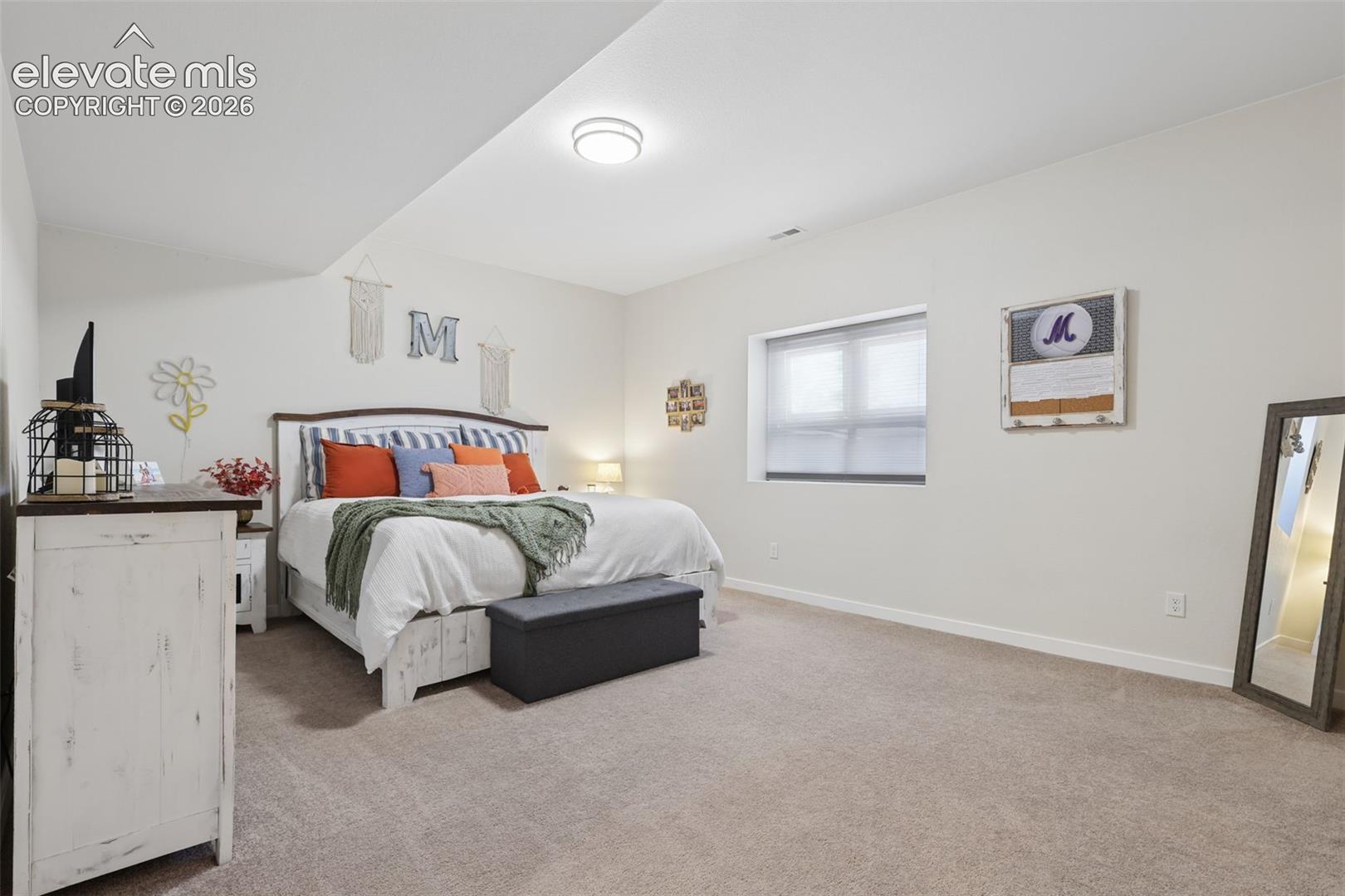 Plush carpet flooring, neutral wall color, window with roller shade, and ceiling-mounted light fixture