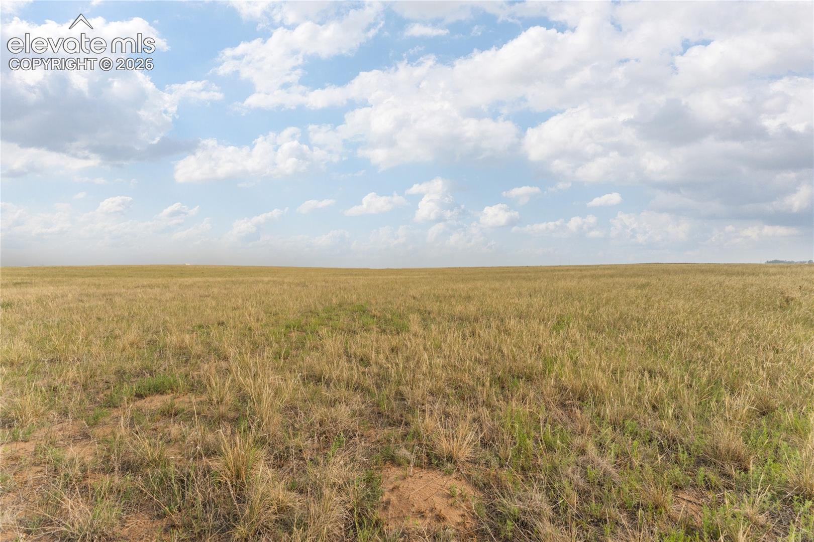 Expansive undeveloped land with natural grasses extending to the horizon