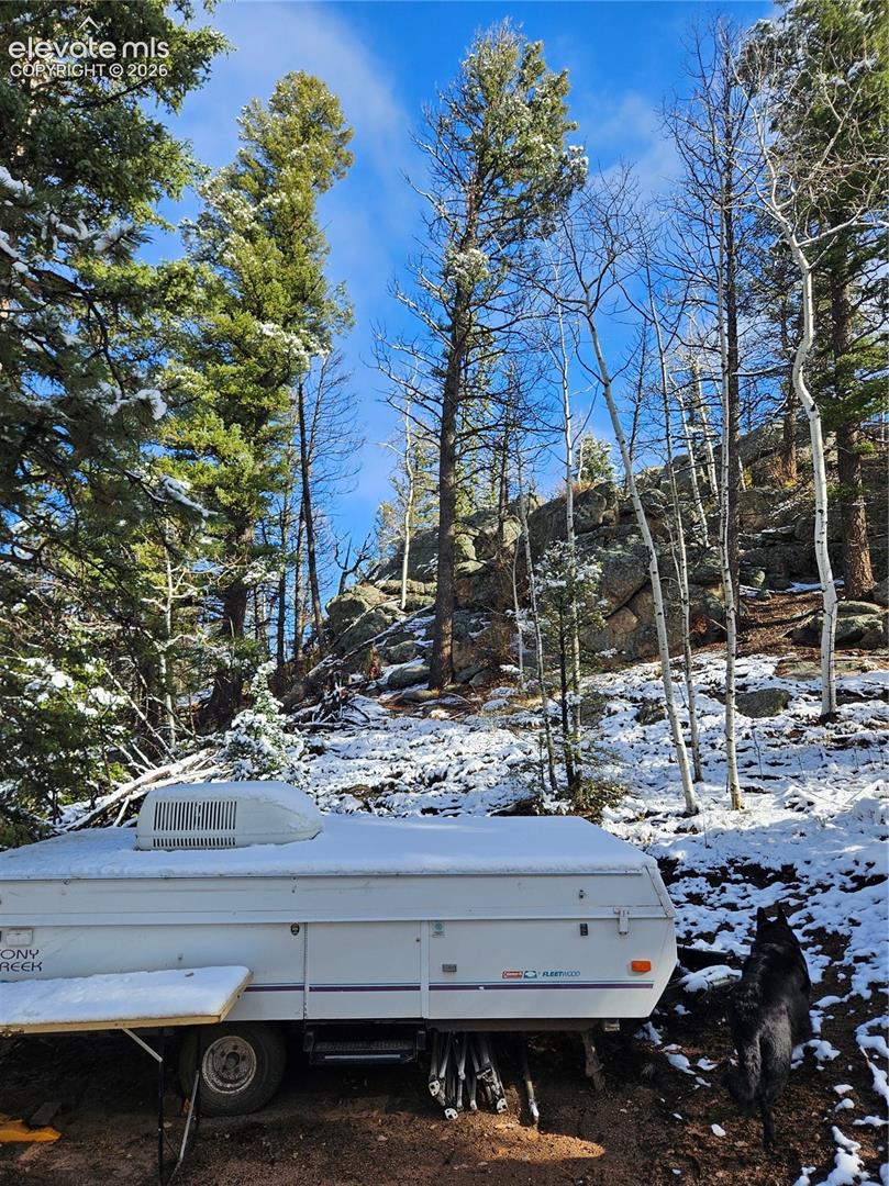 Wooded terrain featuring mature pine and aspen trees, prominent rock formations, and natural sloped landscape