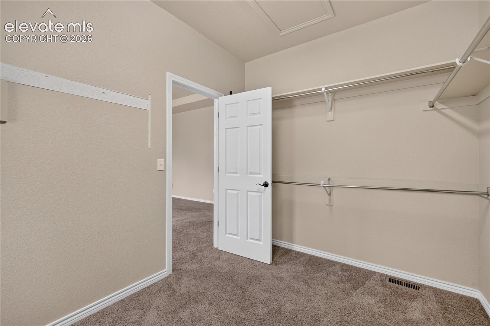 Walk-in closet featuring wall-to-wall carpeting, white six-panel interior door, and dual-tier metal shelving and rod system
