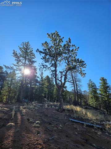 Photo 24 of 652 Derby Drive, Cripple Creek