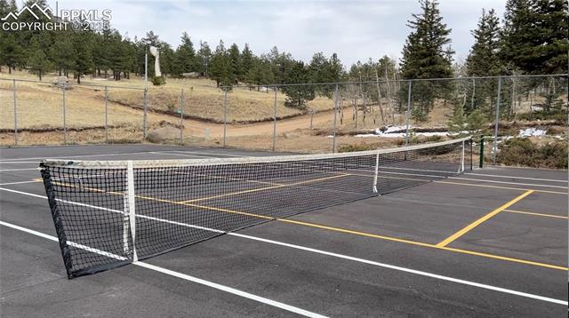 Tennis/Pickle Ball Courts