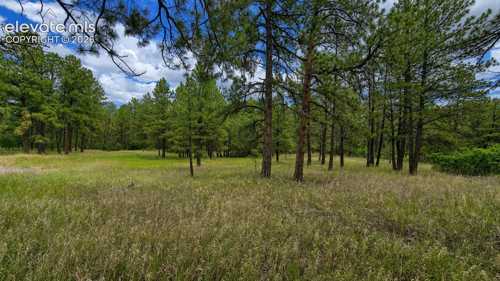 Photo 7 of 00 Westwood Road, Colorado Springs