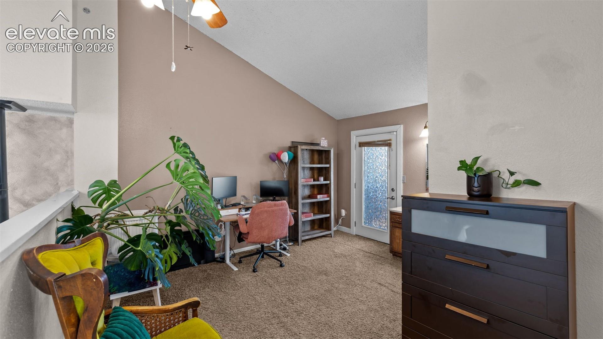 Vaulted ceiling, carpeted flooring, and a single-lite exterior door with textured glass