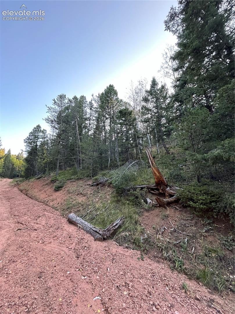 Unimproved parcel featuring a dirt access path, native vegetation, and a sloped terrain with mature evergreen trees