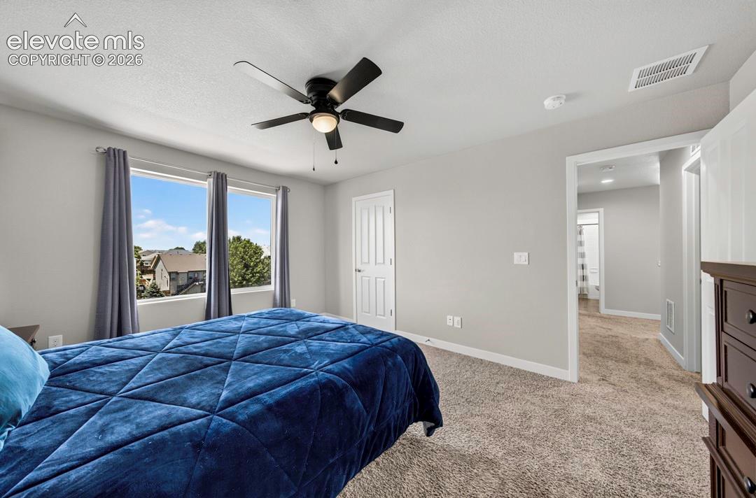 Photo 28 of 3932 Ryedale Way, Colorado Springs