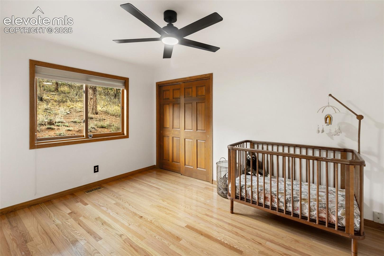 2nd Main Level Bedroom
